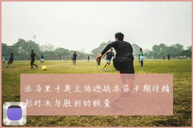 法马里卡奥主场迎战本菲卡期待精彩对决与胜利的较量