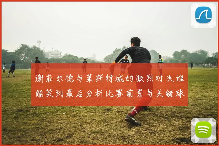 谢菲尔德与莱斯特城的激烈对决谁能笑到最后分析比赛前景与关键球员表现