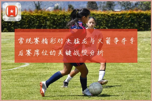 常规赛精彩对决猛龙与火箭争夺季后赛席位的关键战役分析