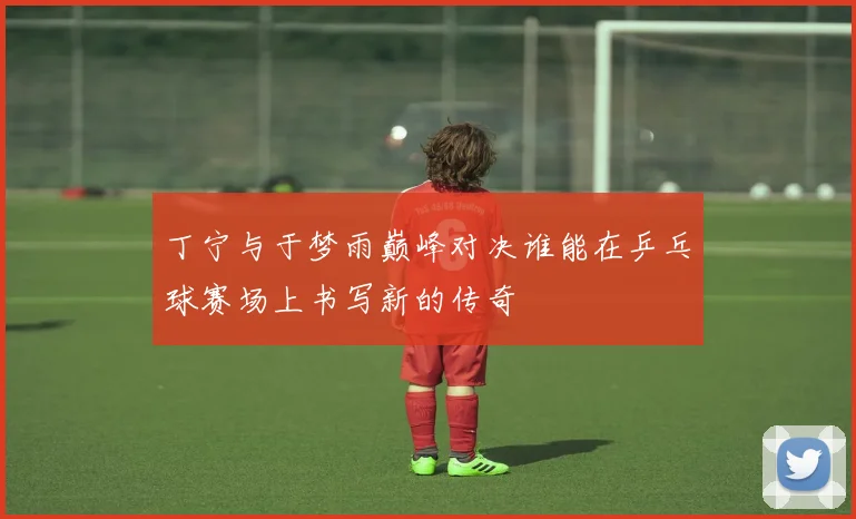 丁宁与于梦雨巅峰对决谁能在乒乓球赛场上书写新的传奇